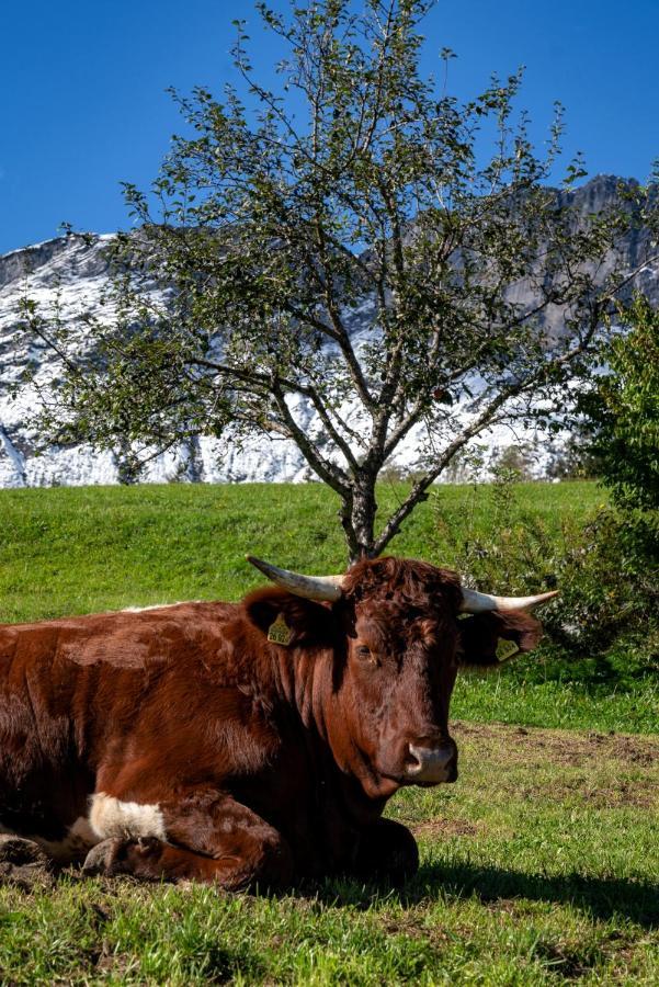 Bauernhof Vorderstiedler Villa Berchtesgaden Kültér fotó